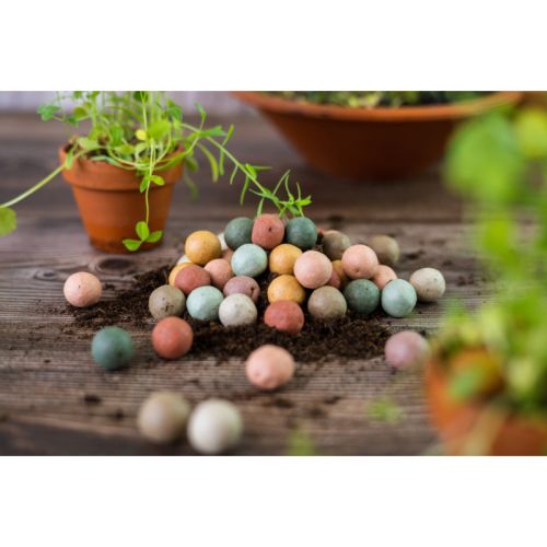 Giftbag with 5 seed bombs - Image 4